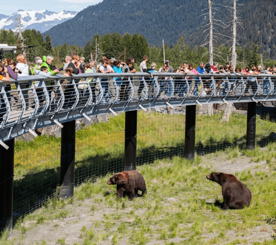 Alaska Wildlife Conservation Center Anchorage