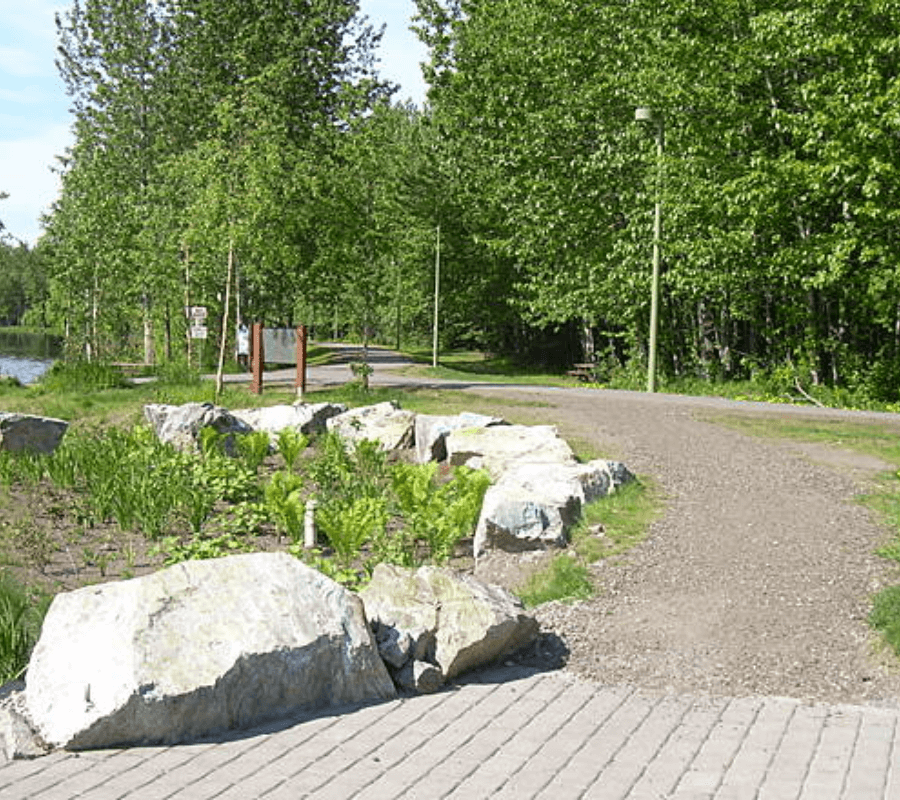 Campbell Creek Trail Anchorage