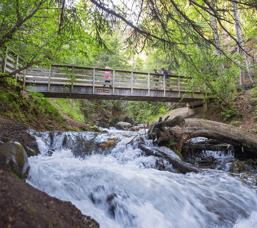 Mchugh Creek Anchorage Hike