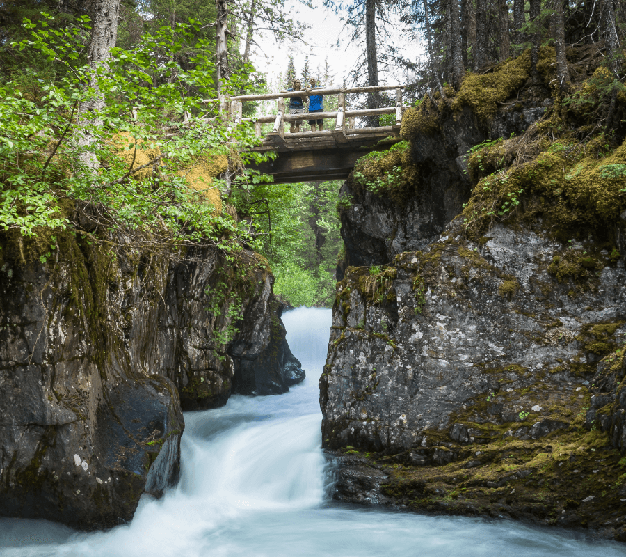 Winter Creek Anchorage Hike