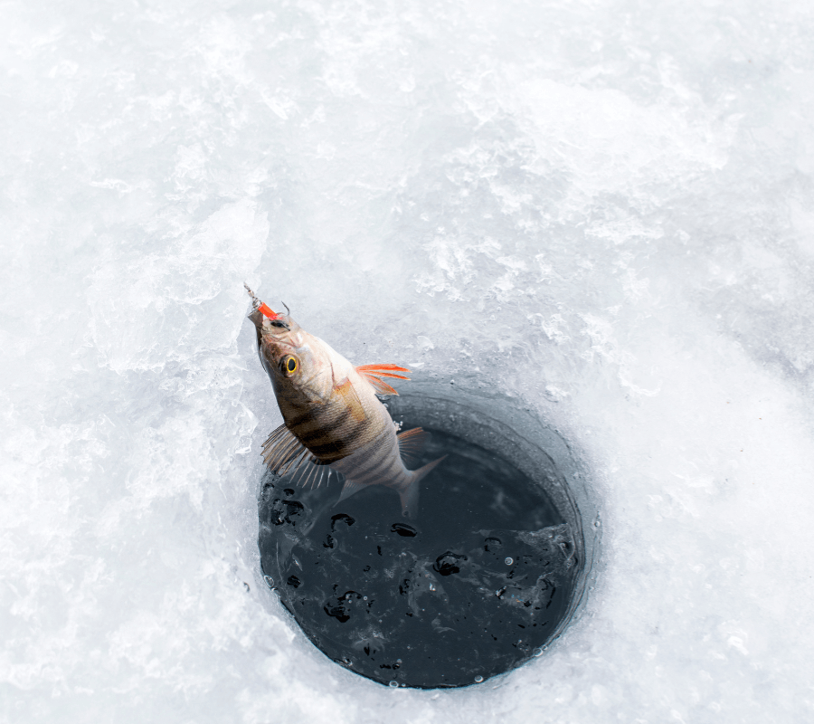 Ice Fishing Anchorage