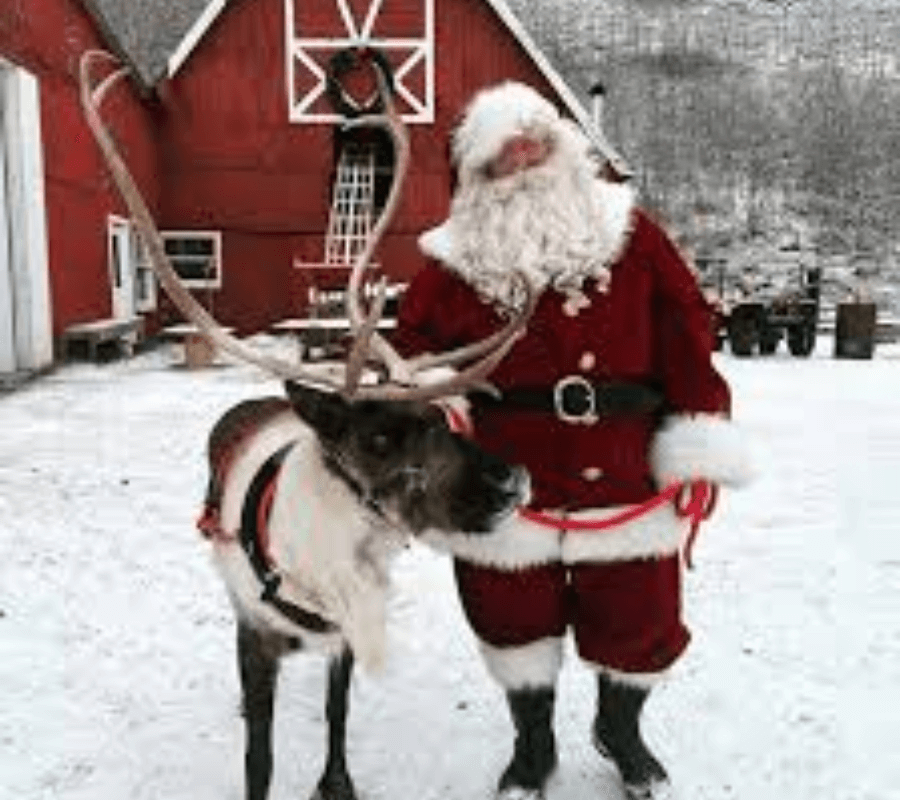 Reindeer Farm Anchorage